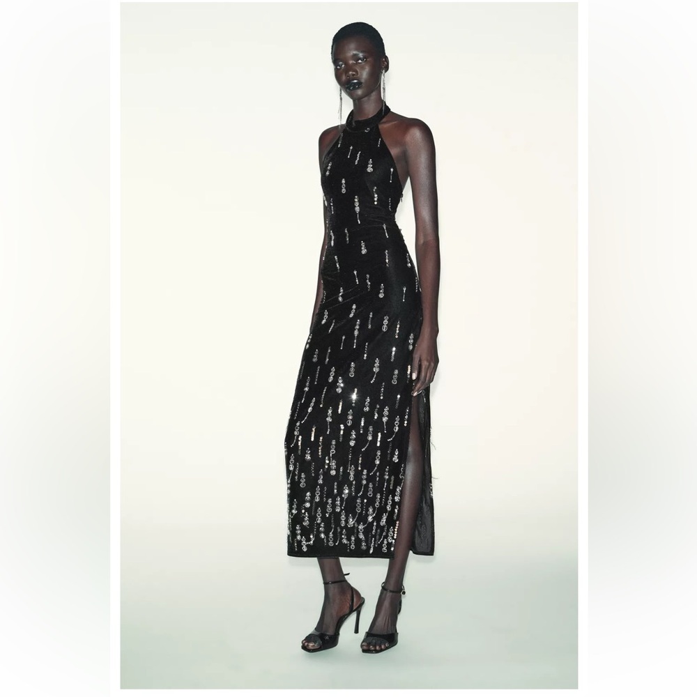 TREND NEW ! ZARA BEADED VELVET DRESS
🚨price firm no discount on this dress - Picture 13 of 15